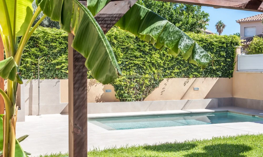 diseño jardin con piscina