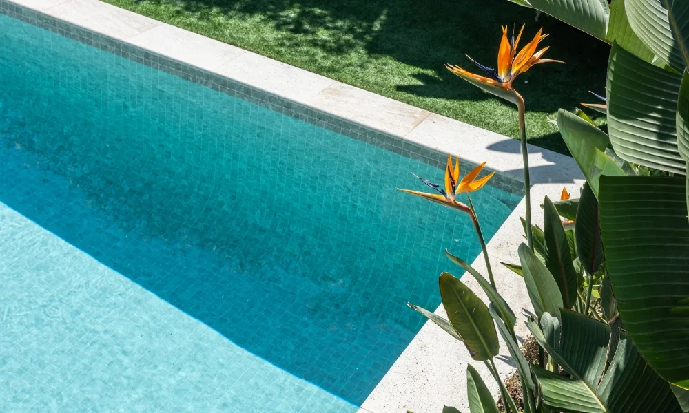 vegetación piscinas en casas adosadas
