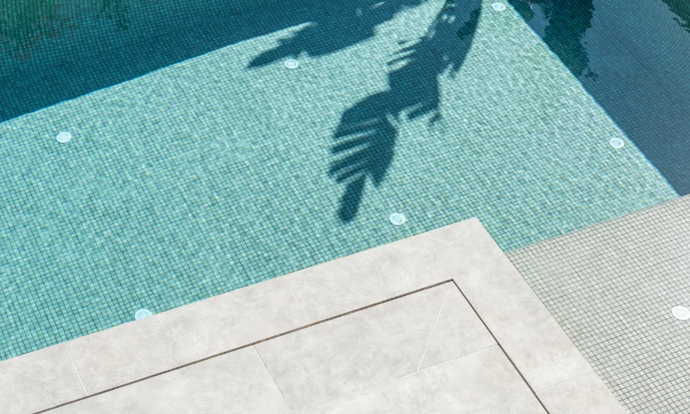 limpiafondos integrado piscinas